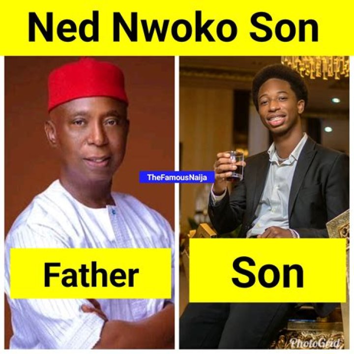 4 Nigerian Billionaires Who Make Ned Nwoko’s Net Worth Look Like “A Chicken Change”