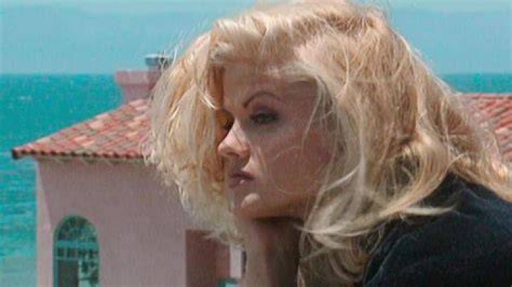 All You Should Know About Anna Nicole Smith: Renowned American Actress