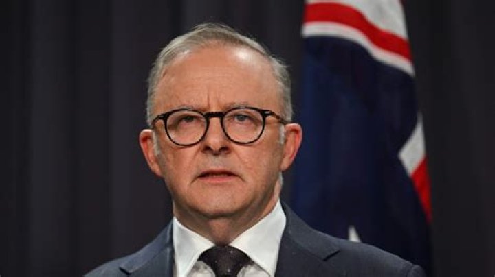 Anthony Albanese Net Worth: What Is Anthony Albanese Net Worth?