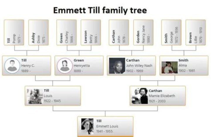 Emmett Till Siblings: Did Emmett Till Have Any Siblings?