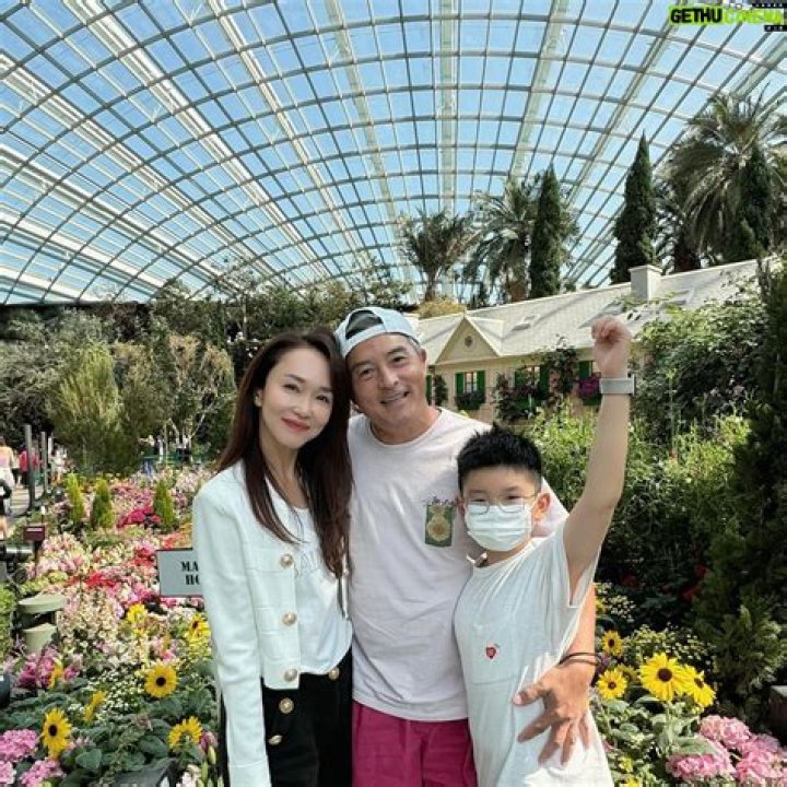 Fann Wong Bio, Age, Parents, Husband, Children, Net Worth