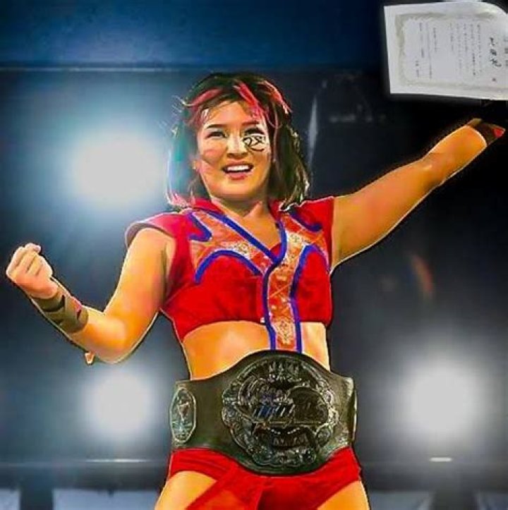 Hikaru Shida Bio, Age, Parents, Husband, Children, Net Worth