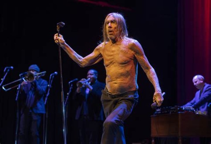How much is Iggy Pop’s net worth today
