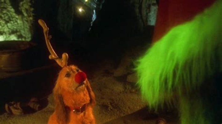 Is The Dog in Grinch Still Alive?