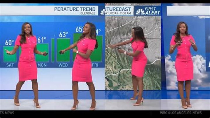 Meet American famous Meteorologist Melissa Magee,  Brief Intro