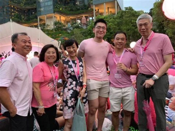 Meet Lee Hsien Yang Children: Li Shengwu, Li Huanwu and Li Shaowu