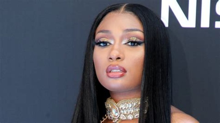 Megan Thee Stallion Bio, Parents, Husband, Children, Albums