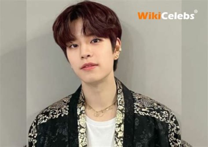 Seungmin Net Worth: How Much Is Seungmin Worth?
