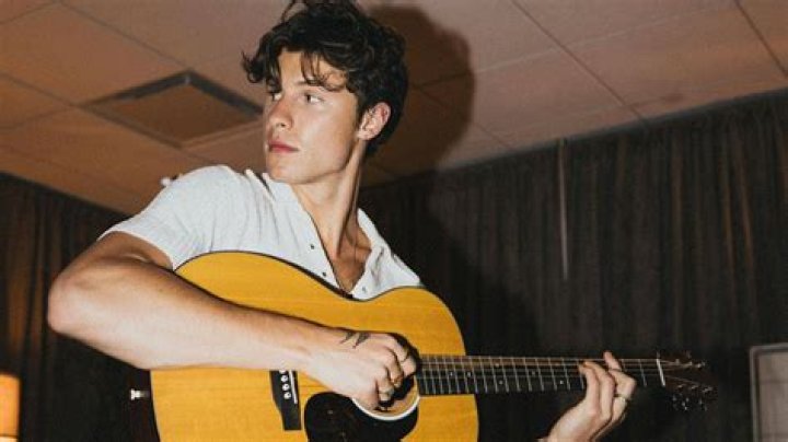 Shawn Mendes Biography, Age, Career, Net Worth, Family