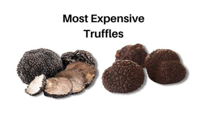 The Most Expensive Truffles in the World You Can Ever Buy