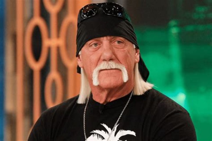 The untold story of Hulk Hogan’s affair with Christiane Plante, Brief Intro
