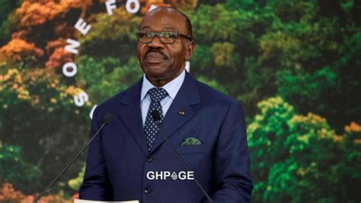 What Is Ali Bongo Net Worth?