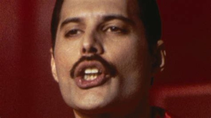 What is Freddie Mercury’s Net Worth: Biography,Net Worth & more