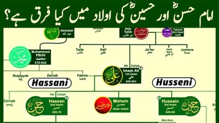 Who Are Mehedy Hasan Siblings?