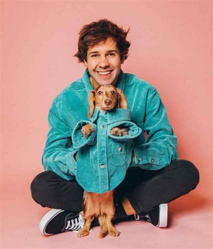 Who is David Dobrik: Biography,Net Worth & more