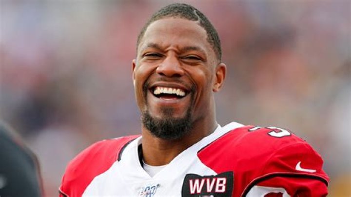 Who is David Johnson: Biography, Net Worth, Age, Career & more