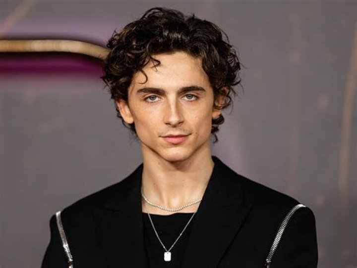 Who Is Timothee Chalamet?, Age, Family, Career, Movies